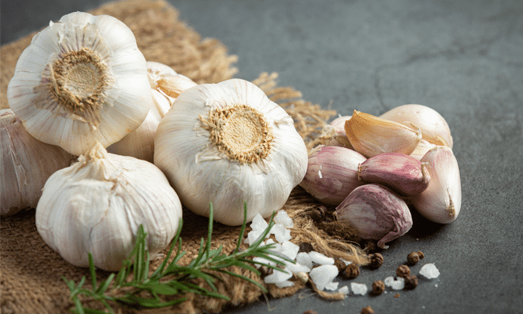 garlic-img