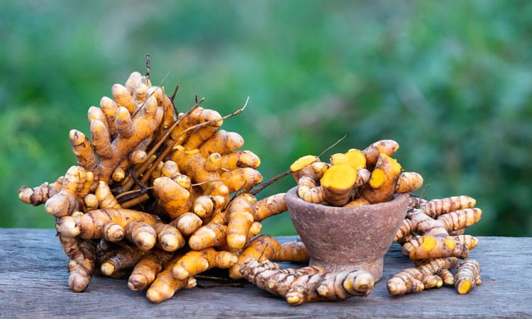 Turmeric-Finger-Products